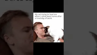 Wholesome Memes To Brighten Your Day 32 | Funny Memes Compilation | Memes