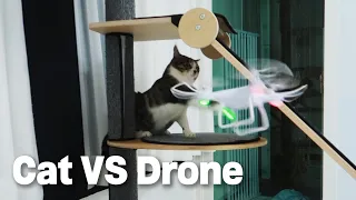 Cats Shocked by Flying Drone│Cats VS Drone, Fight!