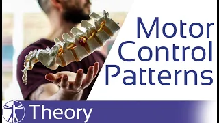 Motor Control Patterns in Low Back Pain