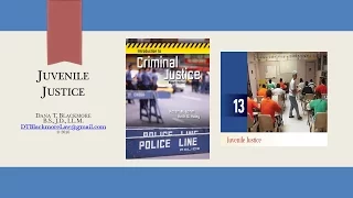 Chapter 13 - CJ 101 - Juvenile Justice