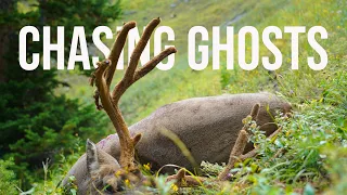 Chasing Ghosts: A High Country Archery Mule Deer Hunt