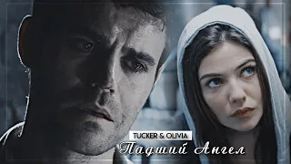 ▻Tucker & Olivia || Падший Ангел