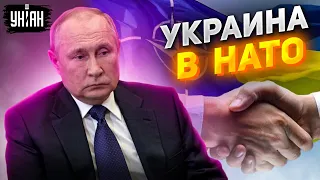 Путин сжался от страха. Украина начала ускоренный путь в НАТО