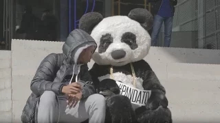 Desiigner - Panda (Behind-The-Scenes: Official #PANDATO Video)