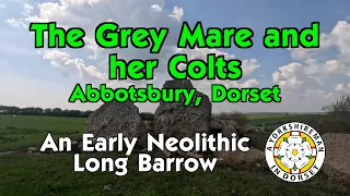 #95 The Grey Mare & her Colts Long Barrow - 7 May 24