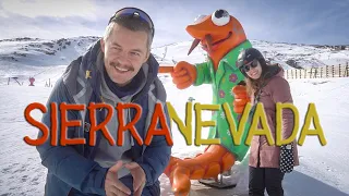 Na narty DO HISZPANII 🇪🇸☀️🦐 GDZIE BĄDŹ z zimowej Andaluzji 🎿⛷️