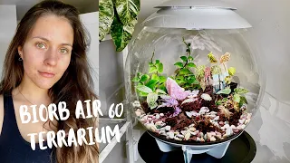 Biorb Air 60 Terrarium