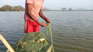 wow!!!! Sri Lankan 🇱🇰 fishing village shrimp 🦐 fishcathing video