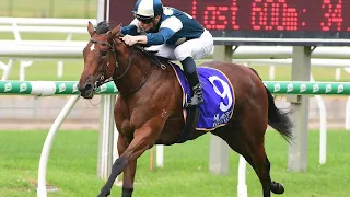 Coolangatta and then who places? | 2022 Golden Slipper preview