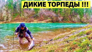 ЗИМНИЕ ТОРПЕДЫ - СТАЛЬНАЯ ГОЛОВА. РЫБАЛКА В США НА ПРИЗОВУЮ РАДУЖНУЮ ФОРЕЛЬ. STEELHEAD FISHING.