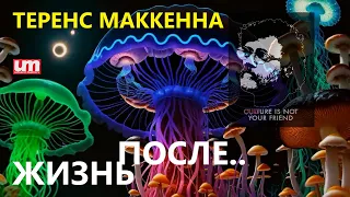 Теренс МакКенна – Жизнь После..