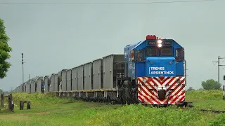 Tren de Carga por vías del GRAN CAPITÁN - Clara, Jubileo, San Salvador y Campos - Prov Entre Ríos