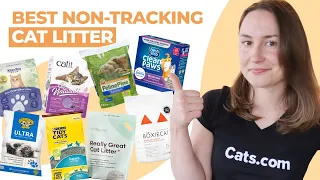 The Best Non-Tracking Cat Litter (We Tested Them All!)