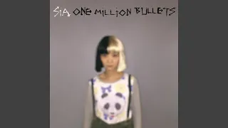 One Million Bullets