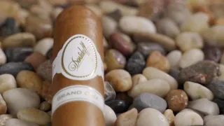 Davidoff Grand Cru Series Cigar Review