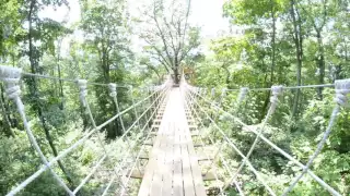 Cross our Canopy Walkway into our Treehouse!