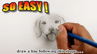 How to draw a dog realistic | Easy Drawings