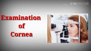 Examination of cornea || corneal opacity || corneal vascularisation