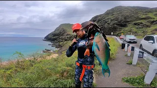 Explored New Grounds! / EastSide Provides! / 3 Prong action Spearfishing HAWAII