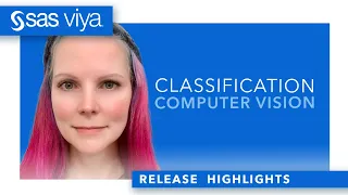 Classification, Computer Vision at the Beach | SAS Viya 2023.02