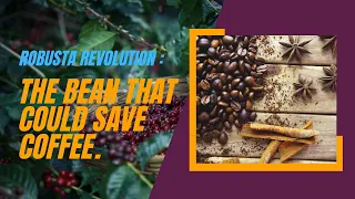 Robusta Revolution : The Bean that Could Save Coffee