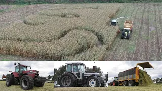 Chopping corn with Claas