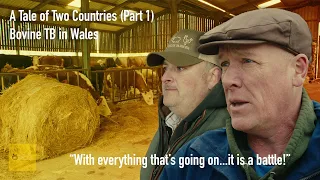 Tale of Two Countries: Part 1 - Bovine TB in Wales