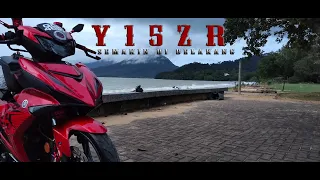 Y17ZR NEW (dh kluar?)