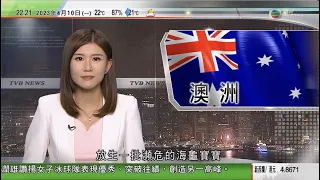 無綫10:00一小時新聞 TVB NEWS｜2023年4月10日｜數字人民幣應用範疇擴大 香港成首個跨境試點｜主板註冊制度首批企業滬深交易所首掛｜澳洲保育人員放生一批瀕危海龜寶寶