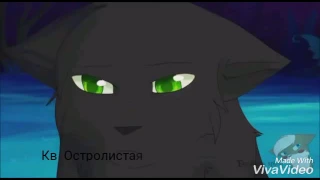 Коты-Воители ( Одиночество)