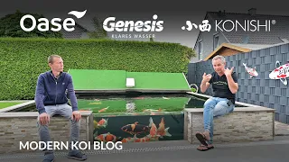 Modern Koi Blog #5433 - Alexanders interessante Wasseranalyse nach der Futterpause durch Ablaichen