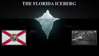 The Florida Iceberg