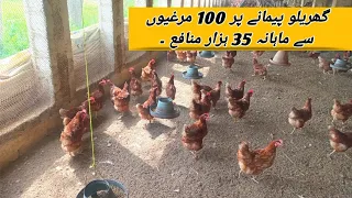 100 Lohman Brown Hens Complete Profit Report | Small Scale Hen Farming Business Idea | Layer Chicken