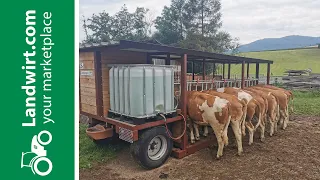 Weidetaxi im Selbstbau | landwirt.com