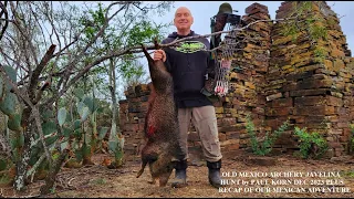 JAVELINA BOW AND ARROW MEXICAN ARCHERY HUNT PAUL KORN 2 DEADLY ARROW IMPACTS A-1 PERFECT SHOTS!!!