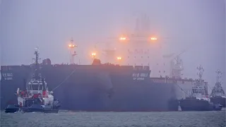 4K SHIPSPOTTING PORT OF ROTTERDAM 2024 WITH MY BIGGEST BULK CARRIER I EVER FILM