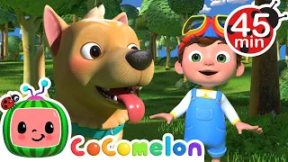 Where Has My Little Dog Gone? | CoComelon Animal Time - Learning with Animals | Nursery Rhymes