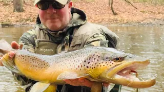 HUGE wild brown TROUT catch & release in small PA STREAM #fishing #creekfishing #trout