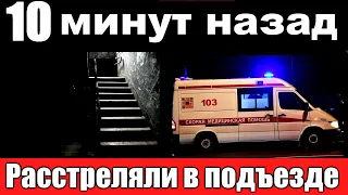 10 минут назад // / расстреляли в подъезде // народная артистка России