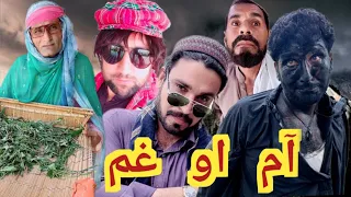 Aam Ao Gham || Funny Video By Sada Gull Vines 2023 #trending #sadagulvines