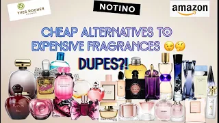 cheap alternavies perfumes