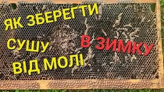 Відповіді на запитання про 6ти рам. #бджолипчеловодствов6тирамочныхульях