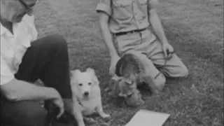 June 20, 1961 - President John F. Kennedy and Family's new dog Pushinka