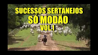 Sucessos Sertanejos  (só modão)
