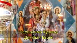 Неопалима Купина 🌸 Ukrainian song | Іван Бабій