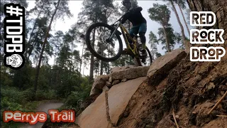 Red Drop off Perrys trail Cannock Chase.