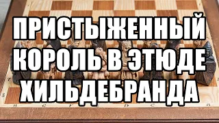 Пристыженный король. Шахматный этюд. А. Хильдебранд, издание "Скакбладет" 1955 год. Композиция.