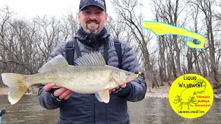 MISSISSIPPI RIVER pool 4 SMASHING walleyes with the LIQUID WILLOW CAT plastics!!