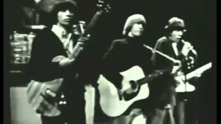 The Rolling Stones - I Can't Get No Satisfaction (Live 1965)