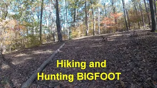 Hiking Uwharrie National Forest Hunting Bigfoot